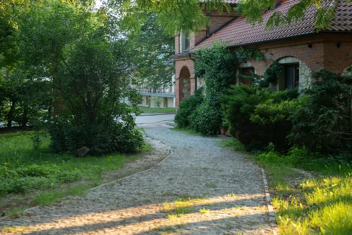 Stamped Concrete Driveway